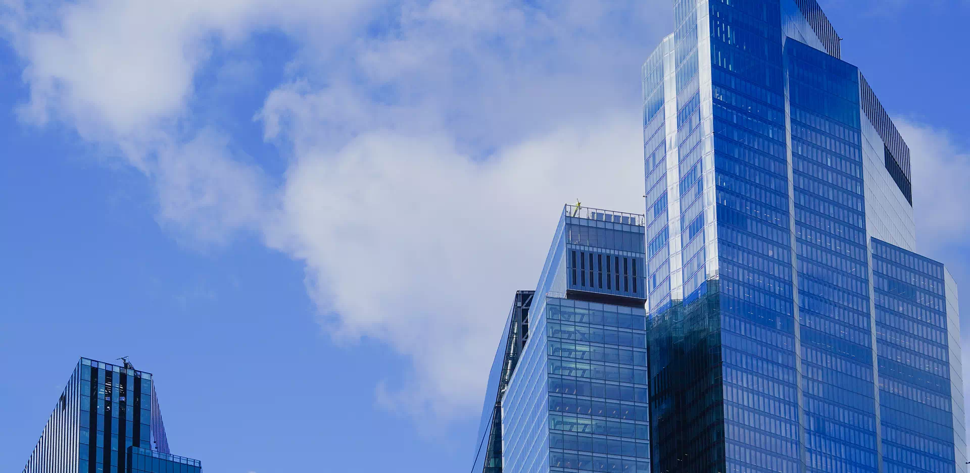 글로벌 강소기업 육성사업