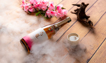 주류 전문 사진 촬영 